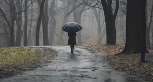 Bolu için 5 günlük hava durumu: Yağışlar kapıda