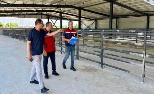 Bolvadin’de açılması planlanan hayvan pazarında inceleme