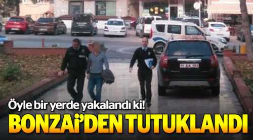 Bonzai'den tutuklandı!