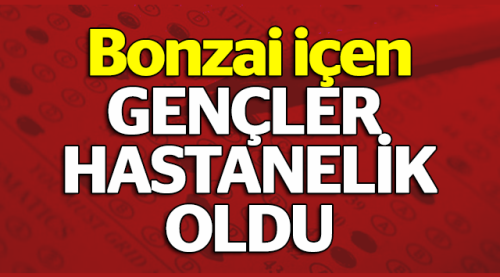 Bonzai içen gençler hastanelik oldu