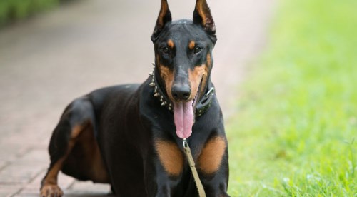 Boşanma davasında çok ilginç talep