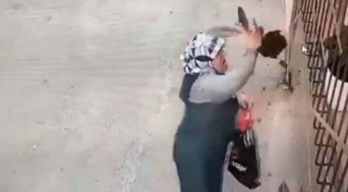 Böyle hırsızlık görülmedi! Saksıdaki çiçeği...