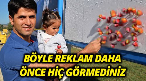 Böyle reklam panosu hiç görmediniz