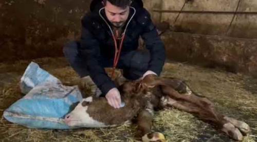 Böylesi ilk defa görüldü, hekimler bile şaştı kaldı!