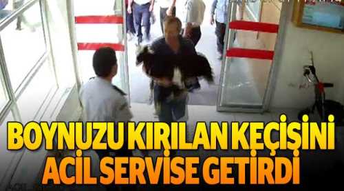 Boynuzu kırılan keçisini acil servise götürdü