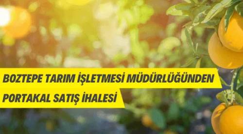 Boztepe Tarım İşletmesi Müdürlüğünden portakal satış ihalesine davet