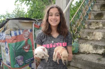 Bozüyük Belediyesi Bir Can Dostunu Daha Sağlığına Kavuşturdu
