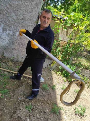 Bozüyük Belediyesi İtfaiyesi’Nden Yılan Operasyonları
