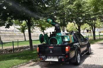 Bozüyük Belediyesi’Nden Haşere İle Mücadele Çalışmaları
