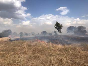 Bozüyük’Te 3 Ayrı Noktada Çıkan Yangın Çevreye Zarar Vermeden Söndürüldü
