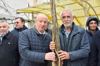 Bozüyük’Te 898 Adet Ceviz Fidanı Dağıtıldı
