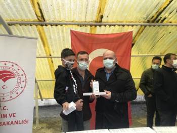 Bozüyük’Te Arı Üreticilerine İlaç Dağıtımı Yapıldı
