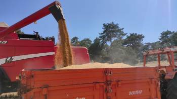 Bozüyük’Te Biçerdöverler Denetlendi
