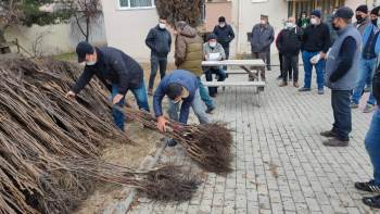 Bozüyük’Te Çiftçilere Ceviz Fidanı Dağıtımı Yapıldı
