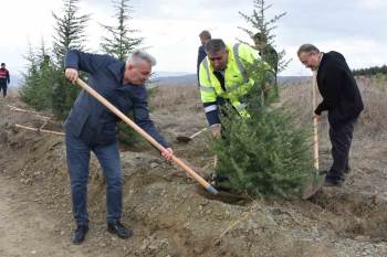 Bozüyük’Te De 100. Yıl Cumhuriyet Ormanları Kuruluyor

