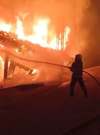 Bozüyük’Te Korulukta Çıkan Yangın Güçlükle Söndürüldü
