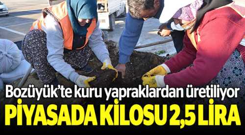Bozüyük'te kuru yapraklardan üretiliyor!