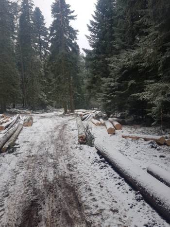 Bozüyük’Te Mevsimin İlk Karı Yağdı
