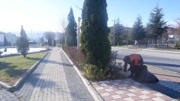 Bozüyük’Te Orta Refüjlerdeki Kış Hazırlıkları Sürüyor
