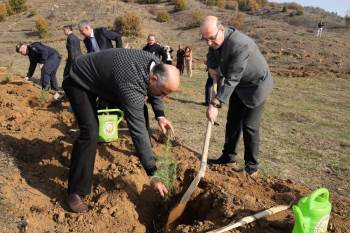 Bozüyük’Te Sedir Fidanları Toprakla Buluştu
