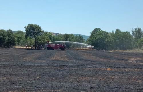 Bozüyük’te tarlada çıkan yangın korkuttu