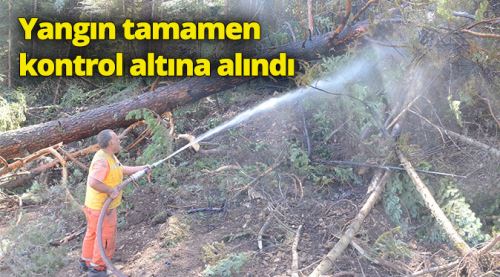 Bozüyük'teki orman yangınında son durum