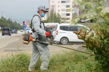 Bozüyük Yaza Yemyeşil Girecek
