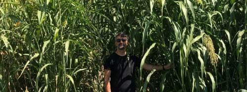 BŞEÜ’den sürdürülebilir hayvancılık için önemli araştırma