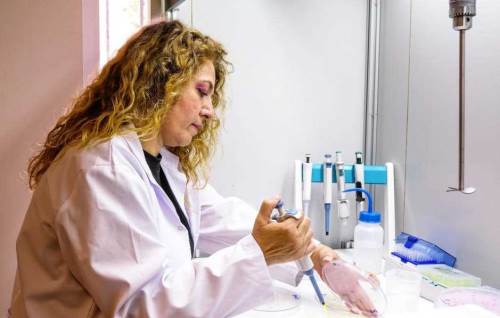 BŞEÜ’den tarımda verimliliği artıracak yeni tohum testi