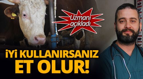 Bu atık iyi kullanılırsa et olur