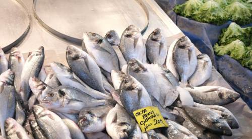 Bu balıkları mutfağınıza sokmayın!