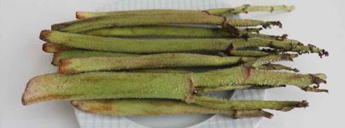 Bu bitki kansere geçit vermiyor!