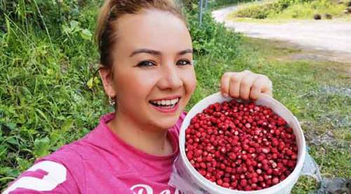 Bu çileğin kilosu 120 TL