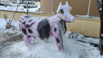 Bu Da Kardan ’İnek’
