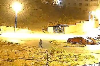 Bu Da Oldu: Ağacı Sökerek Çaldılar
