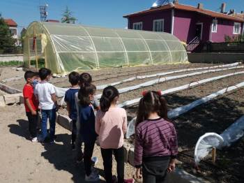 Bu Da Yerli Tohum İlkokulu
