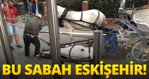 Bu fotoğraf bugün Eskişehir'de çekildi!