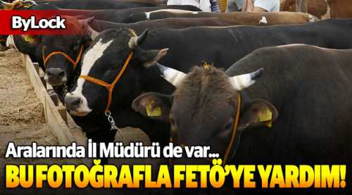 Bu fotoğrafla FETÖ'ye yardım toplamışlar