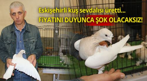 Bu güvercinin fiyatı dudak uçuklatıyor!