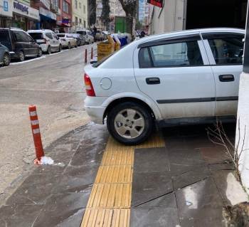 Bu Kadarı Pes Dedirtti
