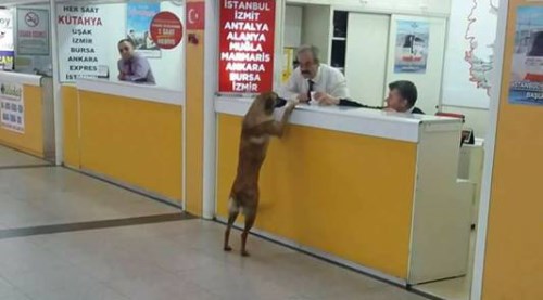 Bu kare Eskişehir'de gündem oldu