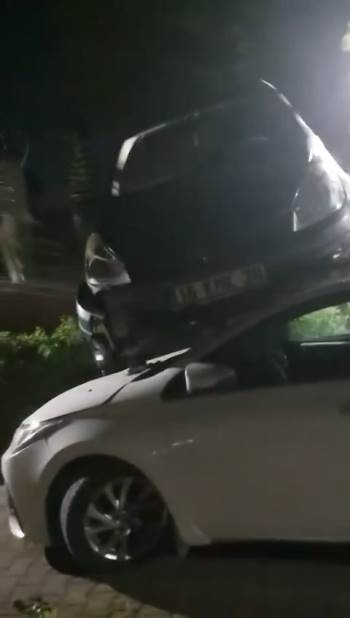 Bu kareyi göre hayrete düşüyor!