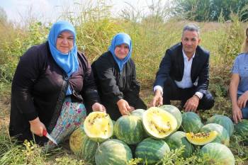 Bu Karpuzun Tohumu Atalardan Kalma
