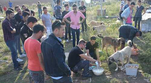 Bu kez hayvanlar için marşa bastılar