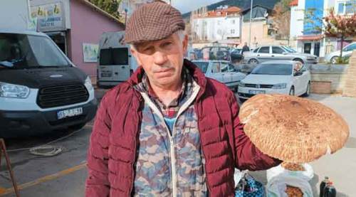 Bu mantarın fiyatı eti geçti, etiketi gören şaştı kaldı!