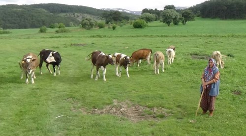 Bu proje yaşamını değiştirdi