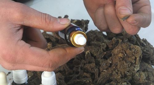 Bu ürün bin bir derde deva