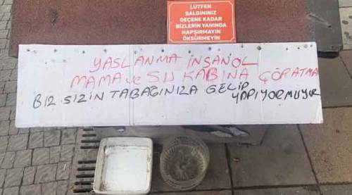 Bu uyarıyı gören, fotoğraflamadan geçemiyor!