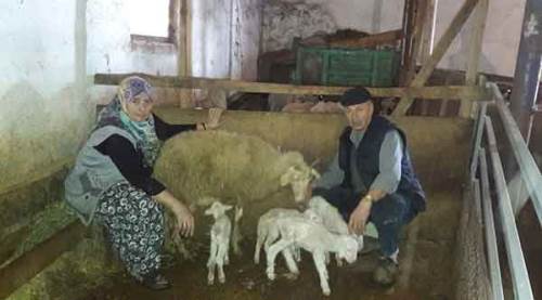 Bu yıl da gelenek bozulmadı!