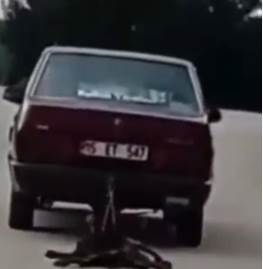 Bucak’ta köpeği sürükleyen şahıs tutuklandı